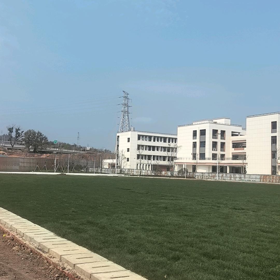 浏阳烟花批发零售