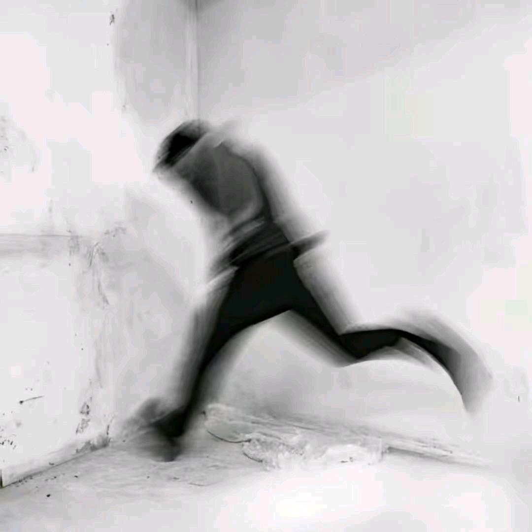 一棵树_