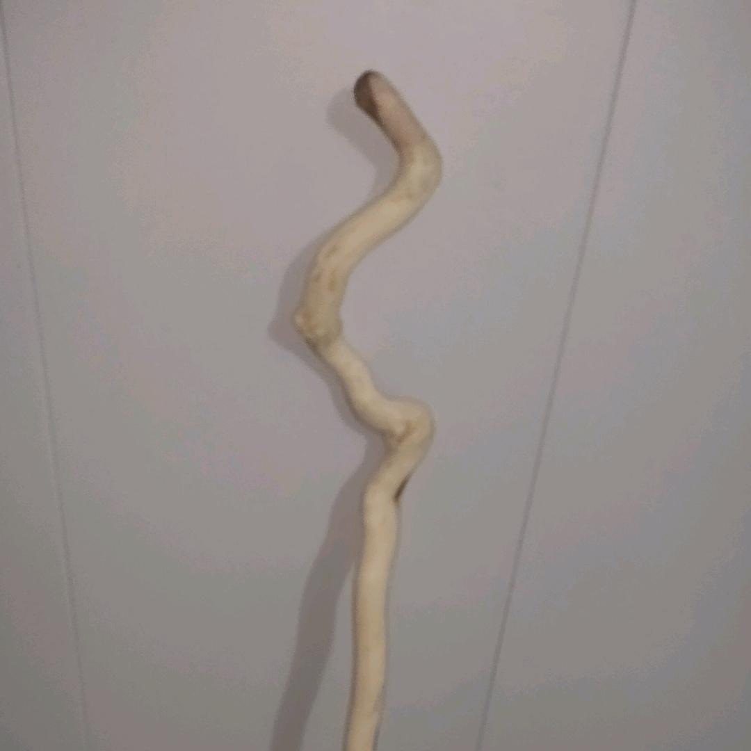 蜉蝣远遁三千里