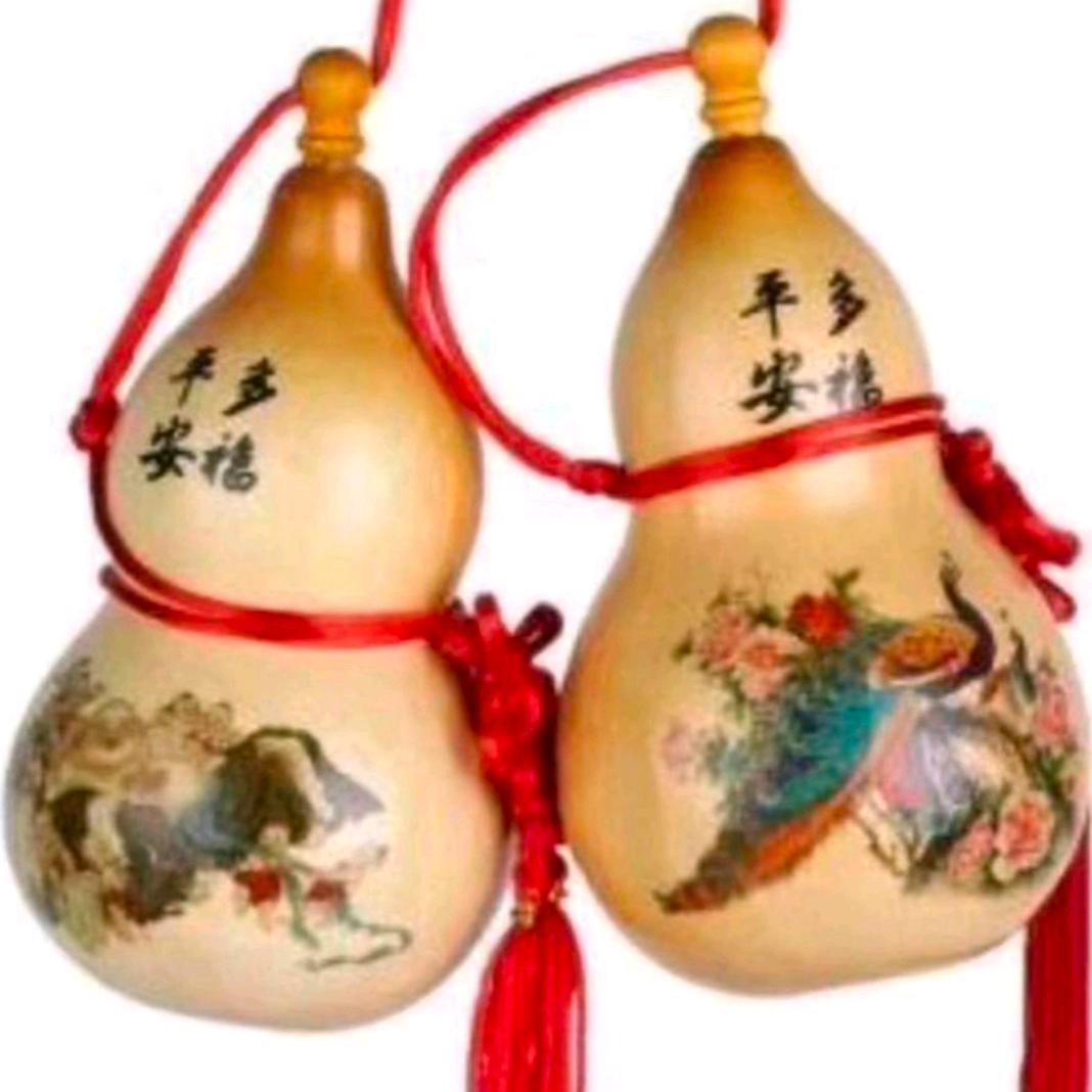社会我大哥