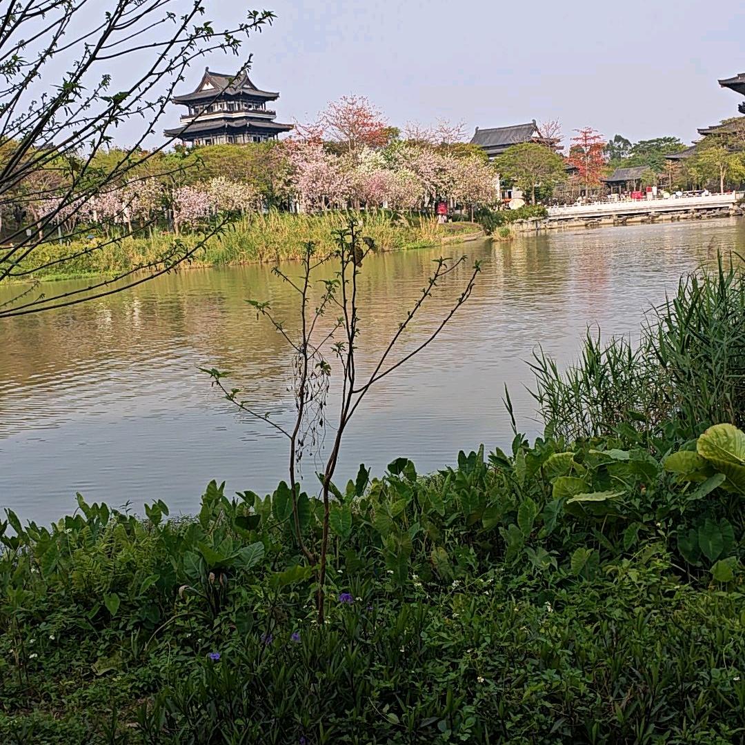 平淡是真