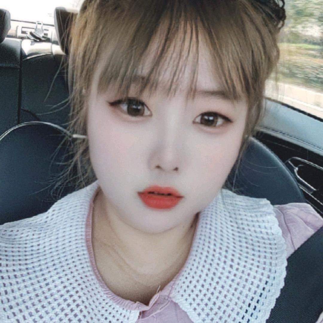 凤子