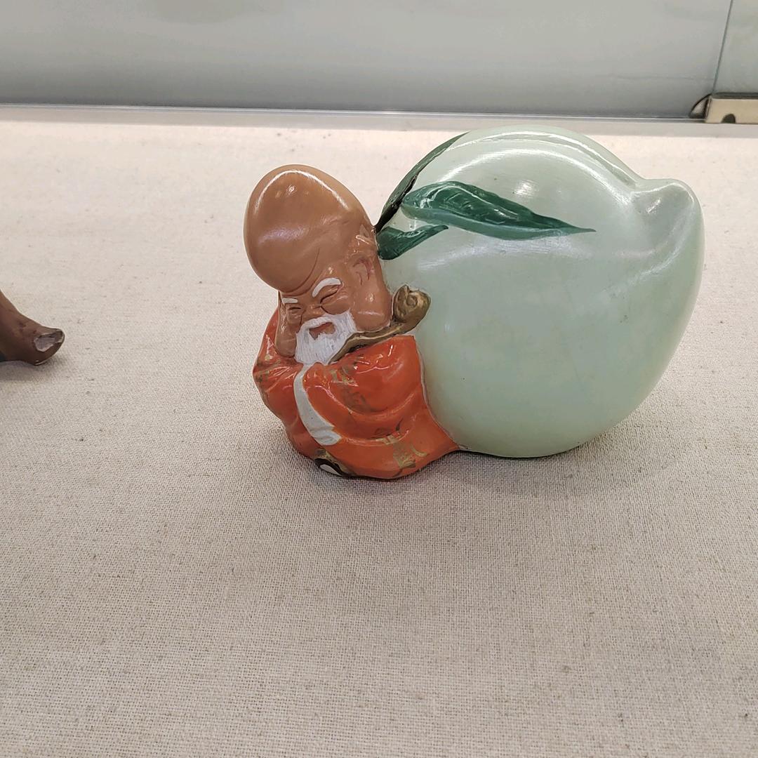 陪蜗牛散步（橱窗有好物）