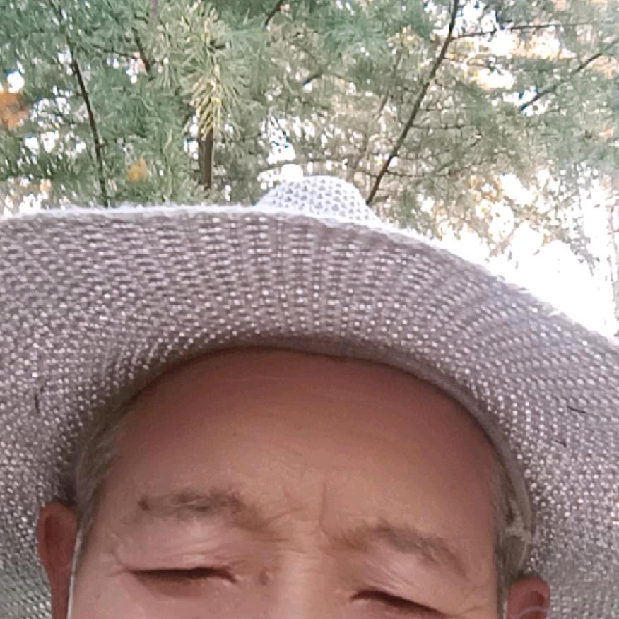 大老宋礼