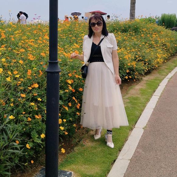 杮柿皆顺