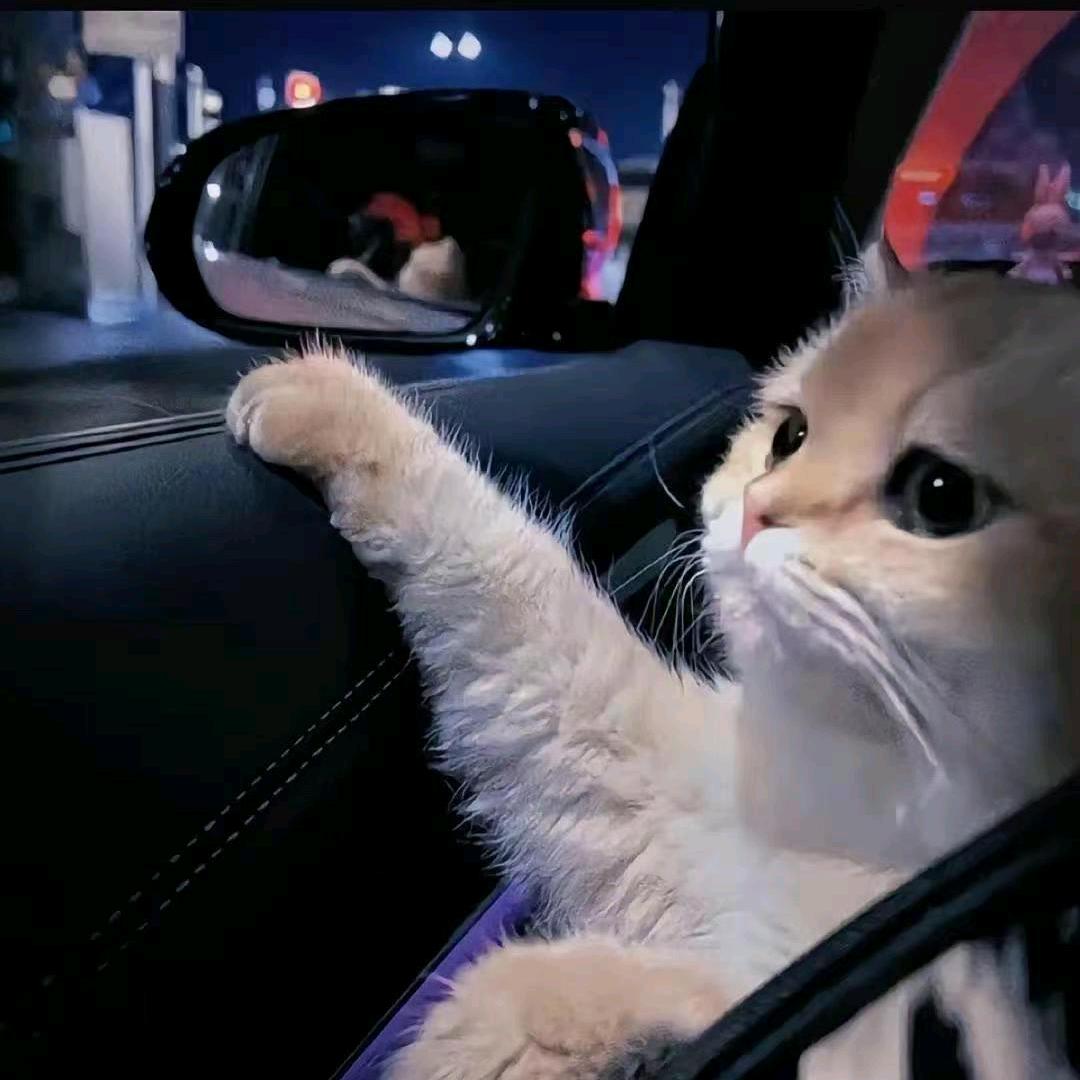 嘎嘎嘎