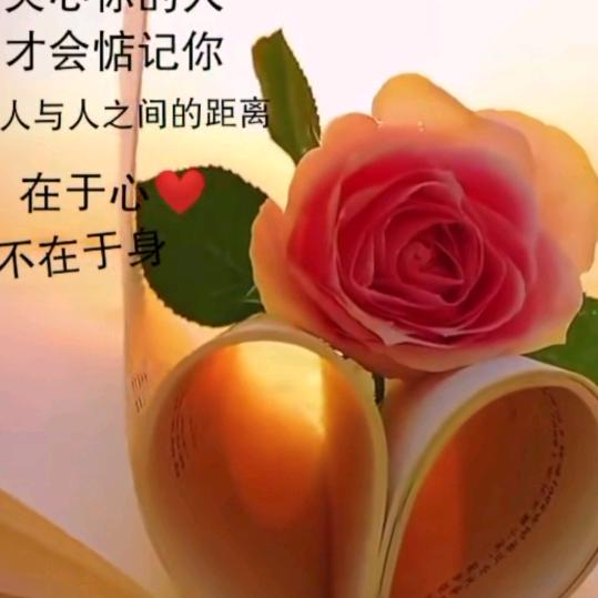 一切靠自己