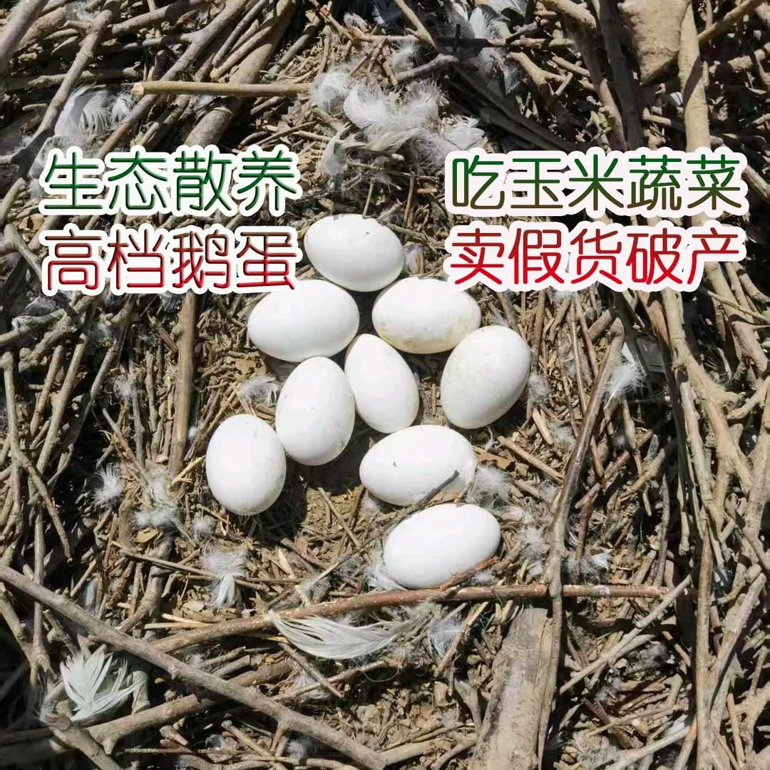 郑州港区世外桃源生态园