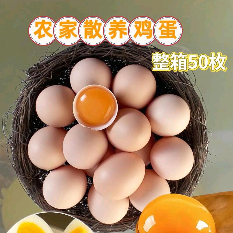 张洁（农副产品）