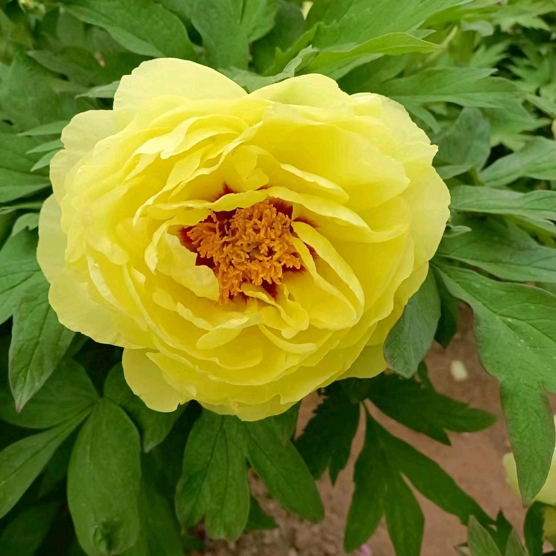 用户7716958276797有缘人