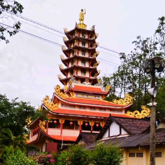 村口你楞哥