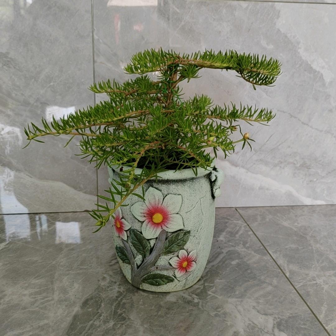 唯美时光