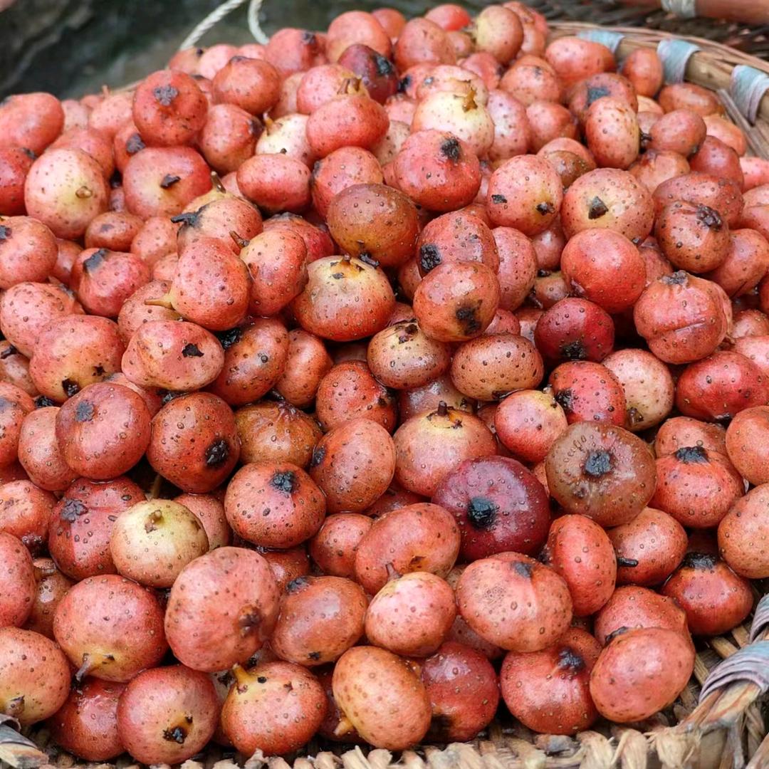 一生幸福快乐✔