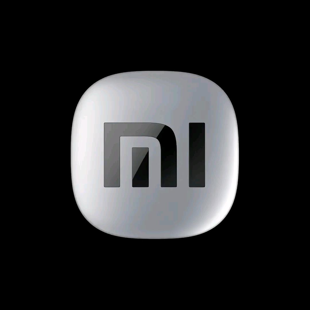 小米汽车丨政务银泰中心店