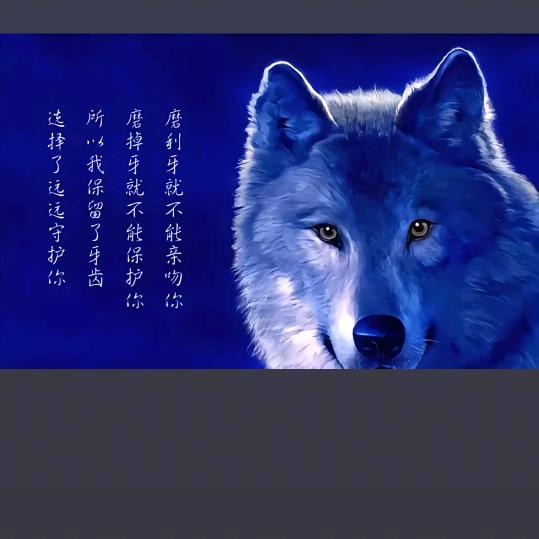 兜里有糖