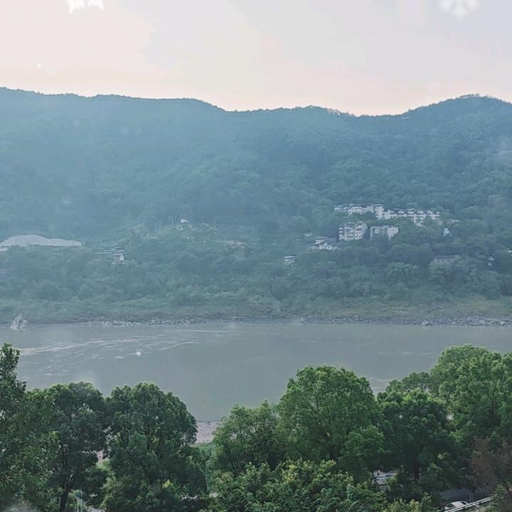 美食机械哥