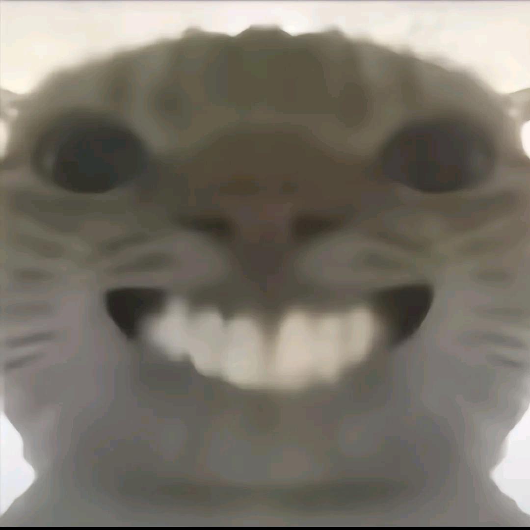 好枪兄弟