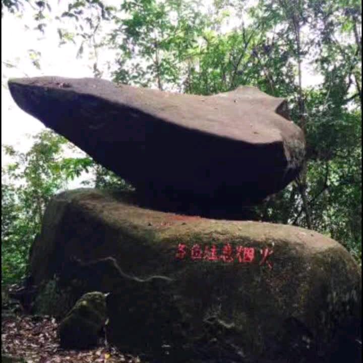 洪哥