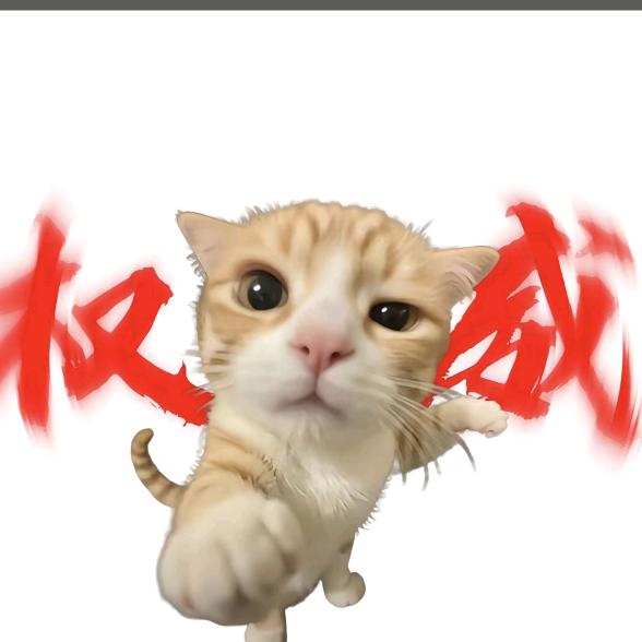 赵奥森