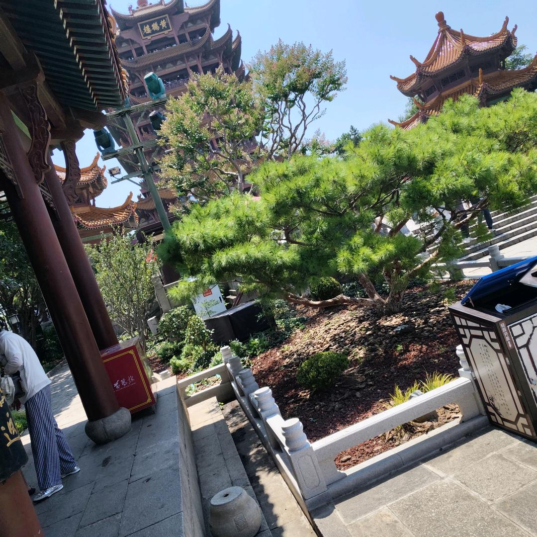 🌹遗失的岁月