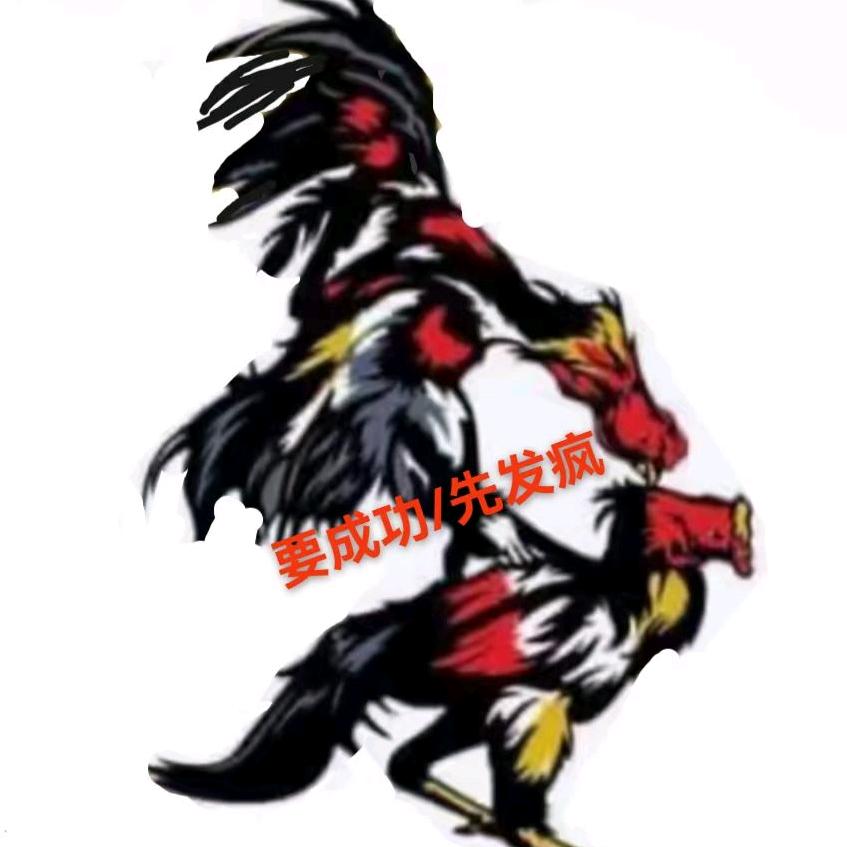 背毛飞话事人《老神》