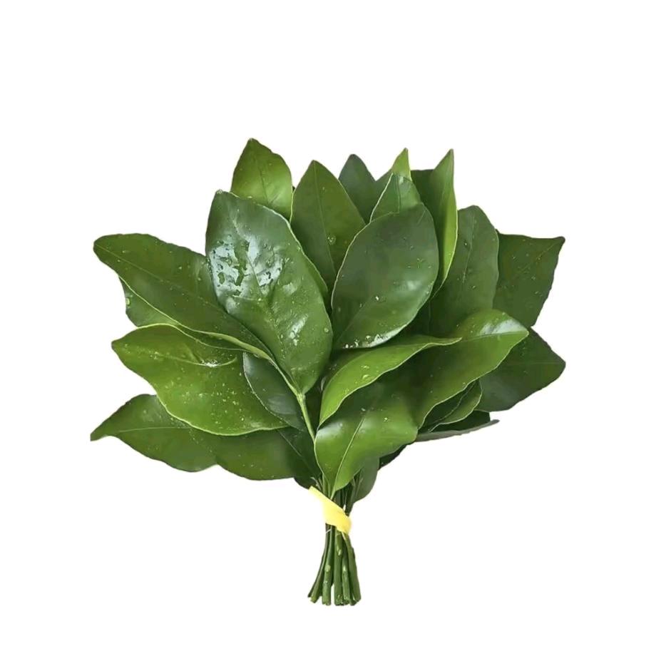 琳子.