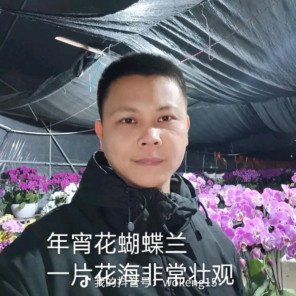 南宁/南博园林、花卉、苗木（悟空）