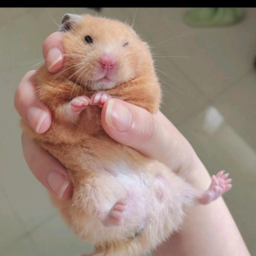 老是想越狱O