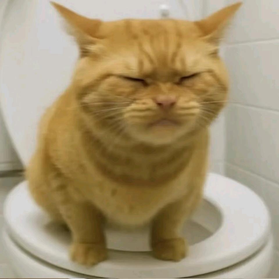 胎主