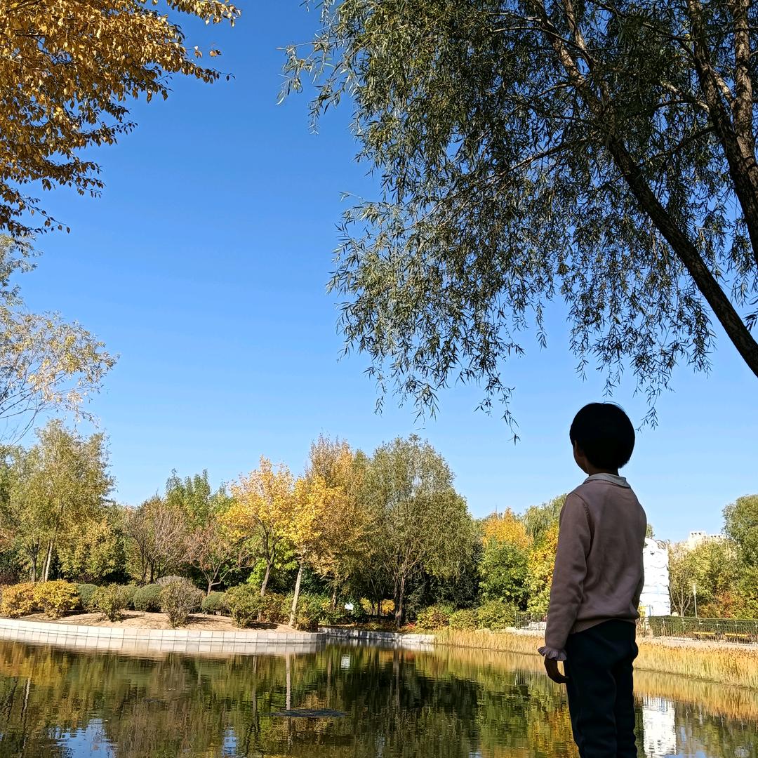 王义红木鄂尔多斯店张军