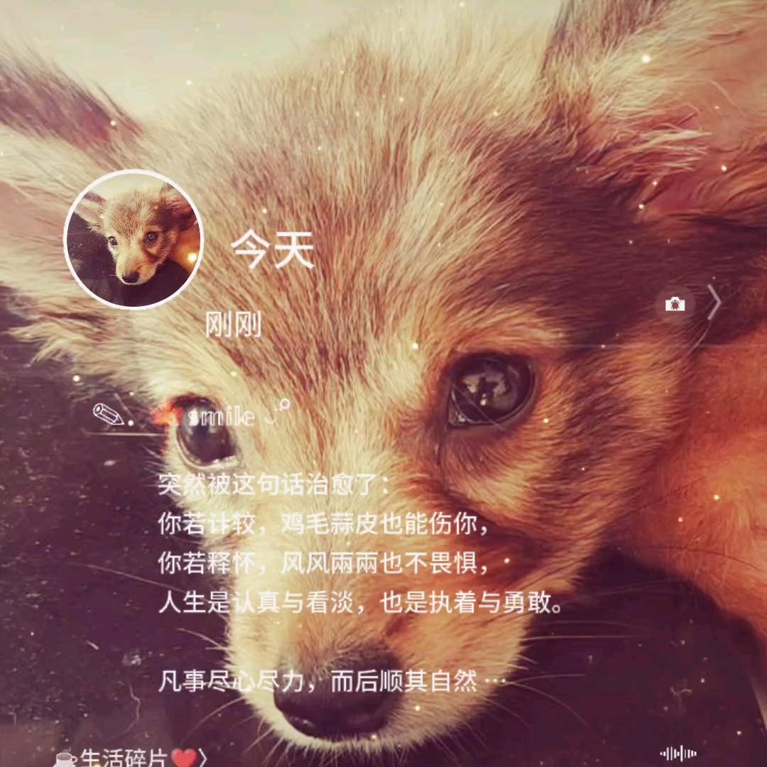呱小彤彤彤彤