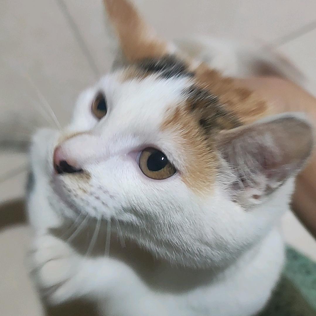 周一不正常就很正常