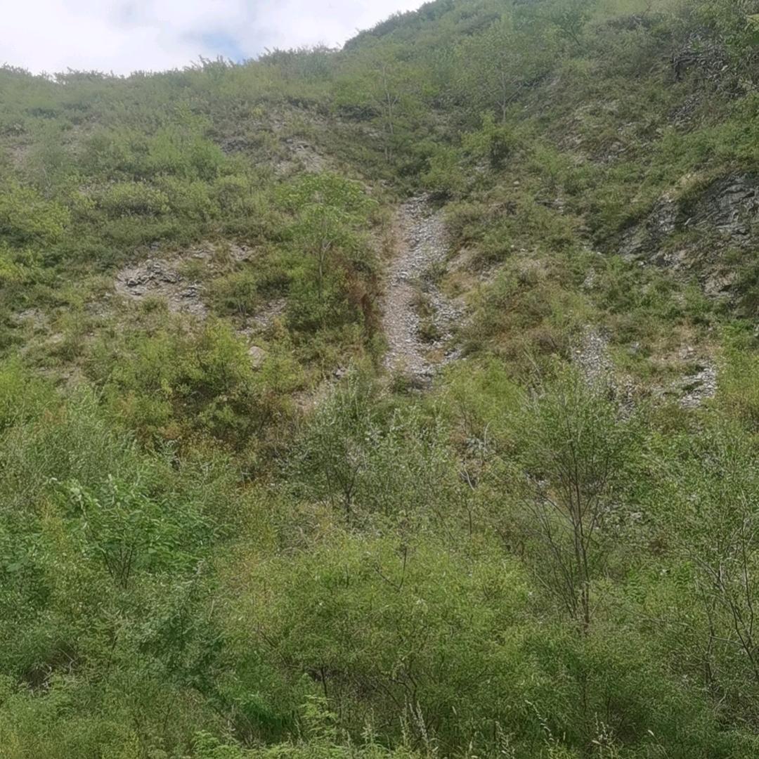 晋派怡家全屋定制