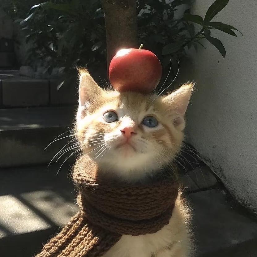🐾 ˶᳐鹤眠˶᳐੭