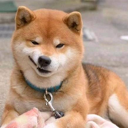 小熠要加油(ง •̀_•́)ง