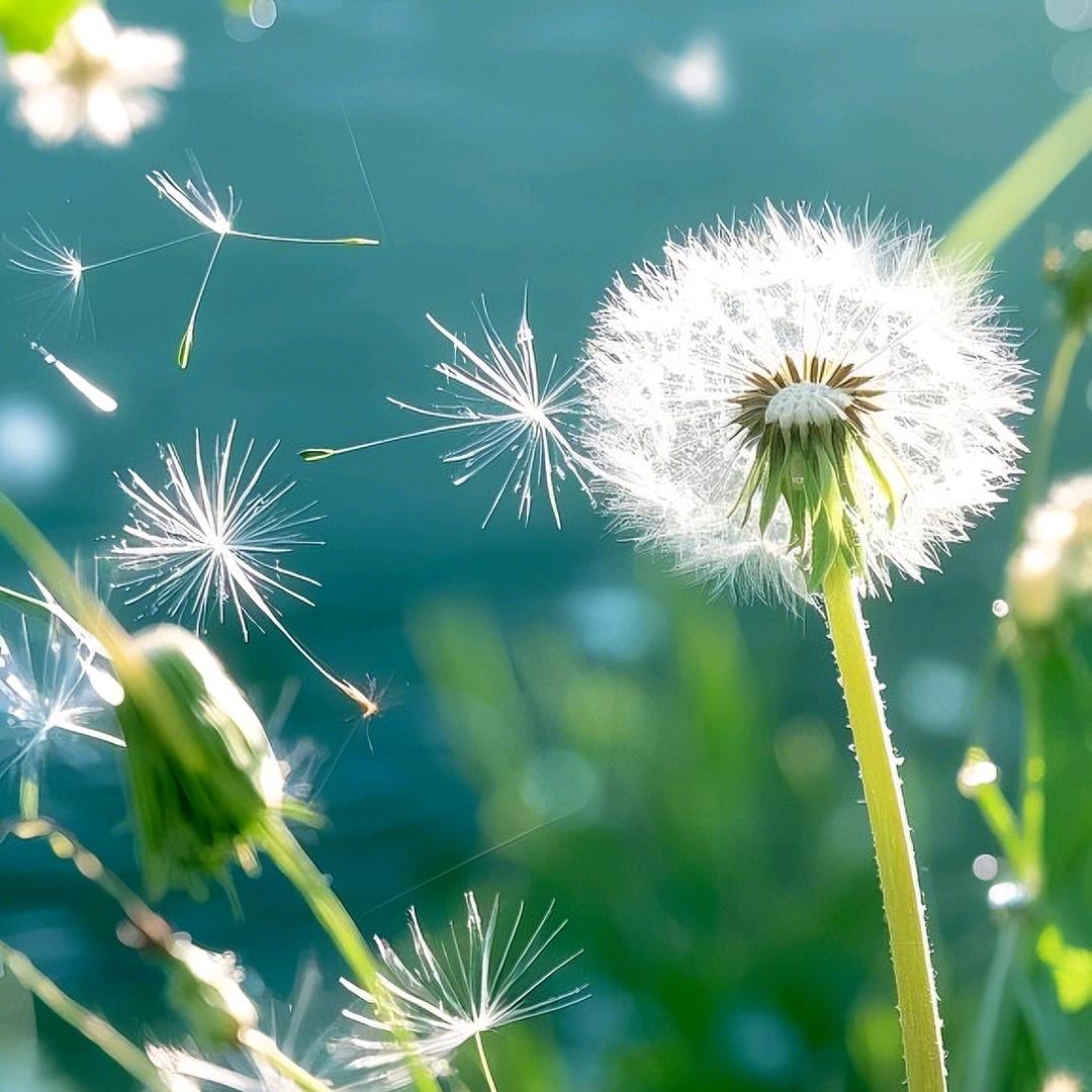 随心漫步