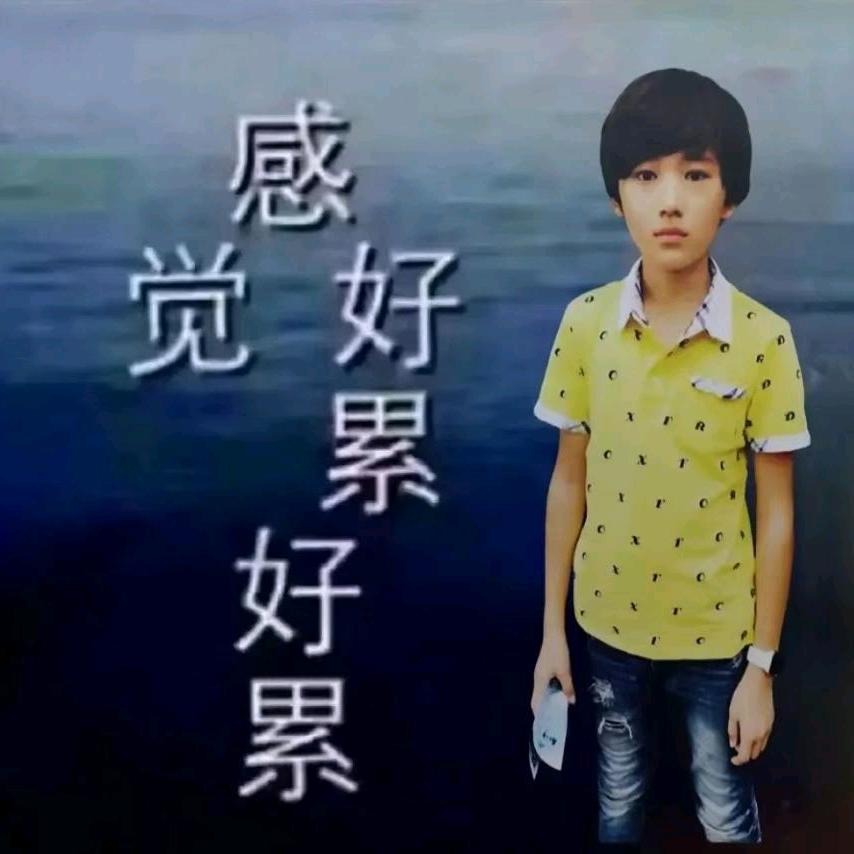 卑微的菠萝