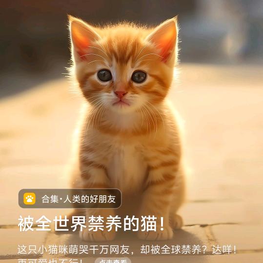 你就是我的