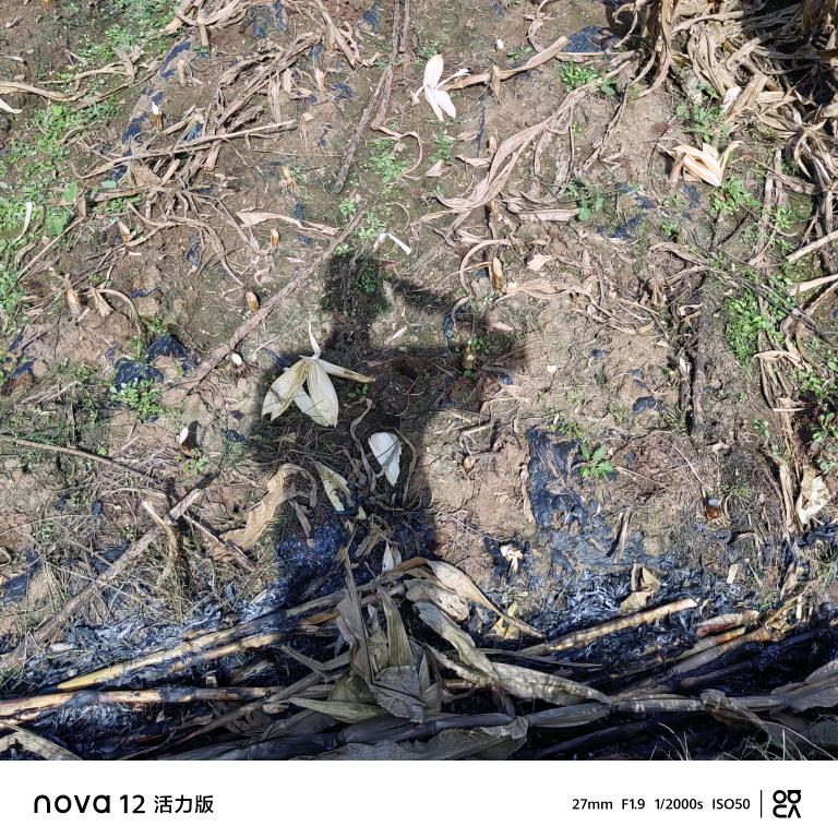 小唉同学🇨🇳