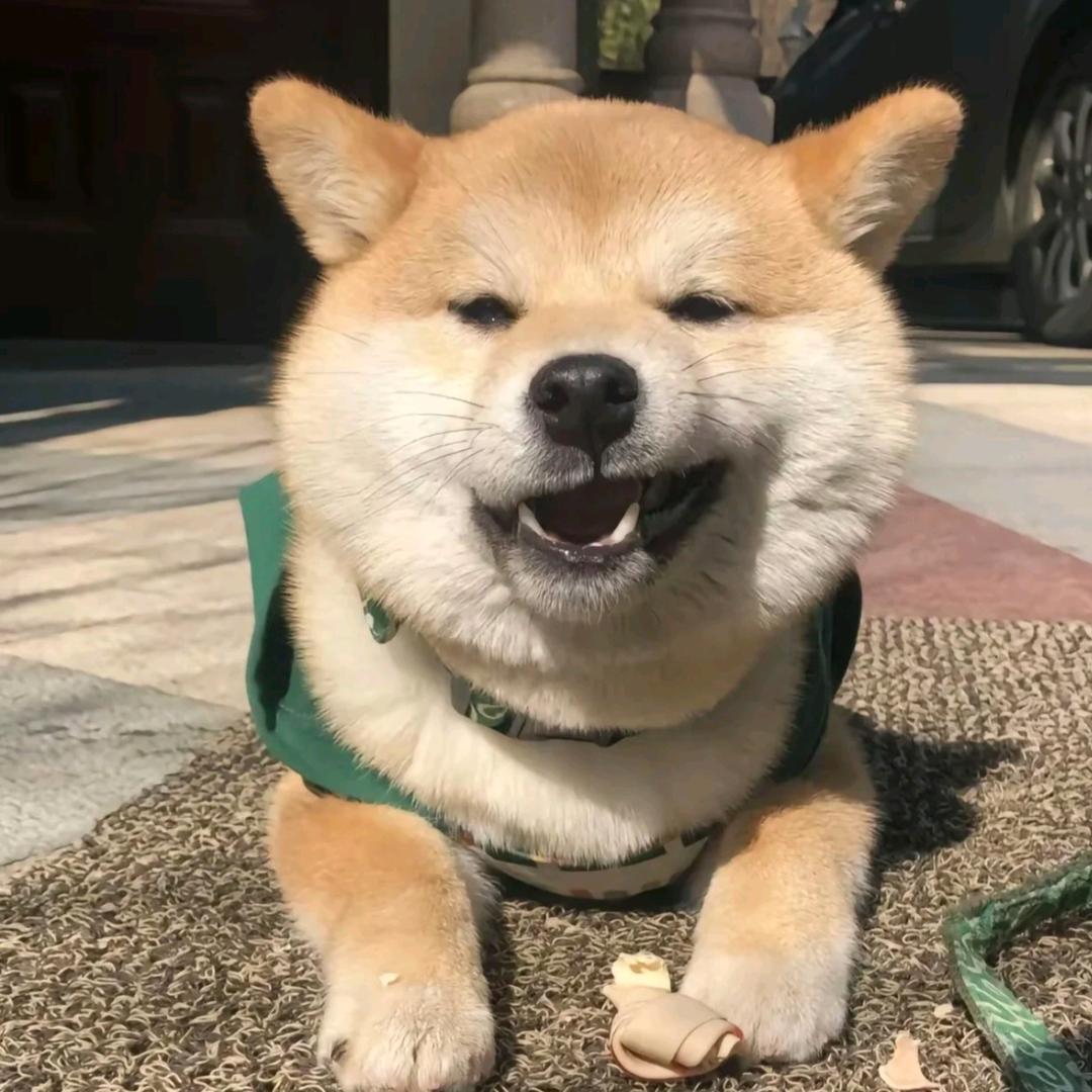 𝙔