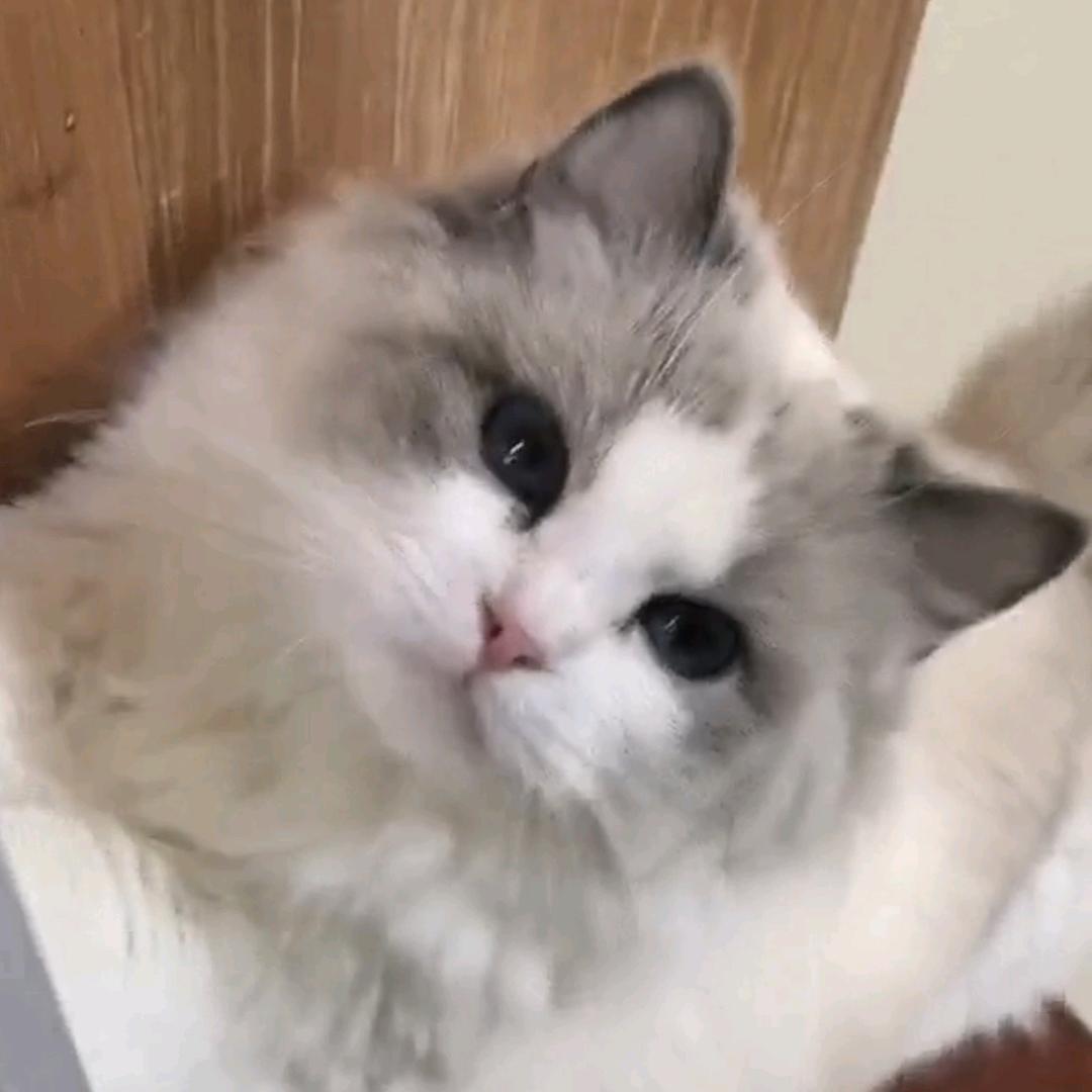 ღ᭄岁月静好🕊꧔ꦿ᭄💞