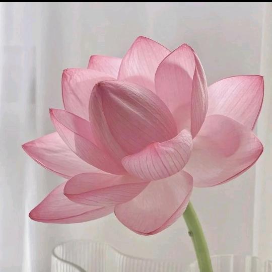 你最珍贵