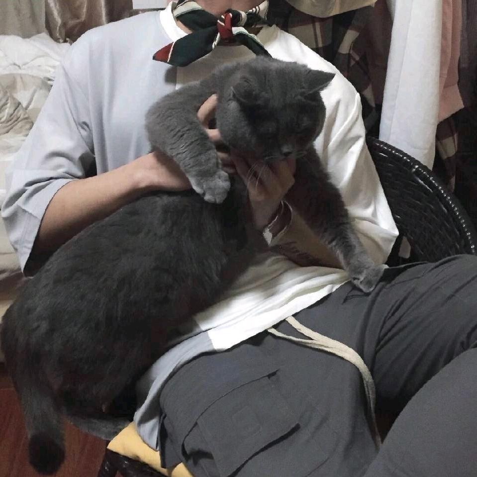 小柒