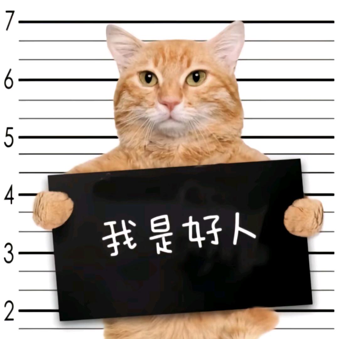 文