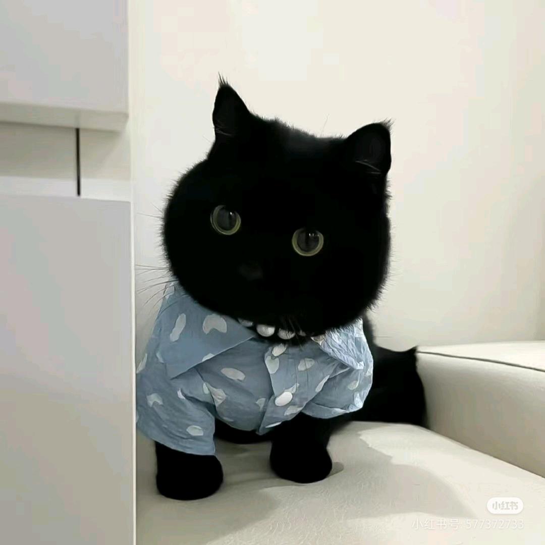 ♪万安亦♪