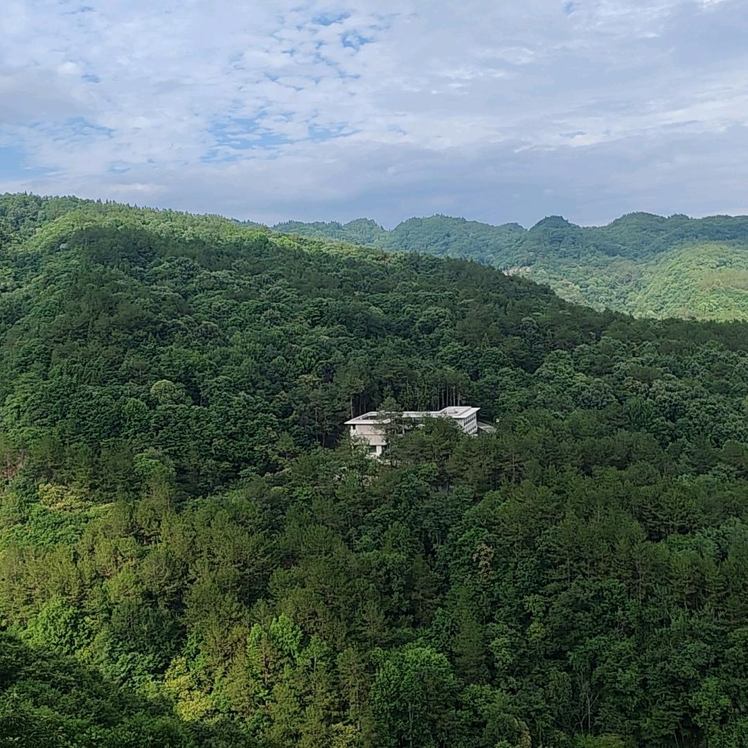 青柠