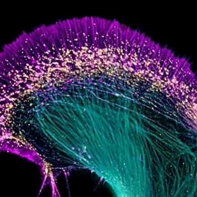 🛻🚙啊宽✈️