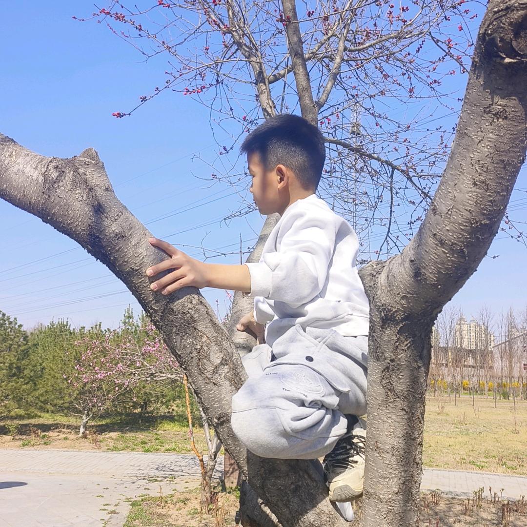 好物分享者