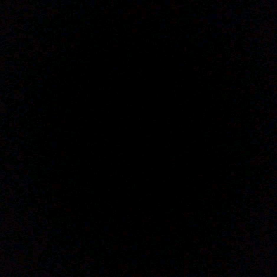 …………………