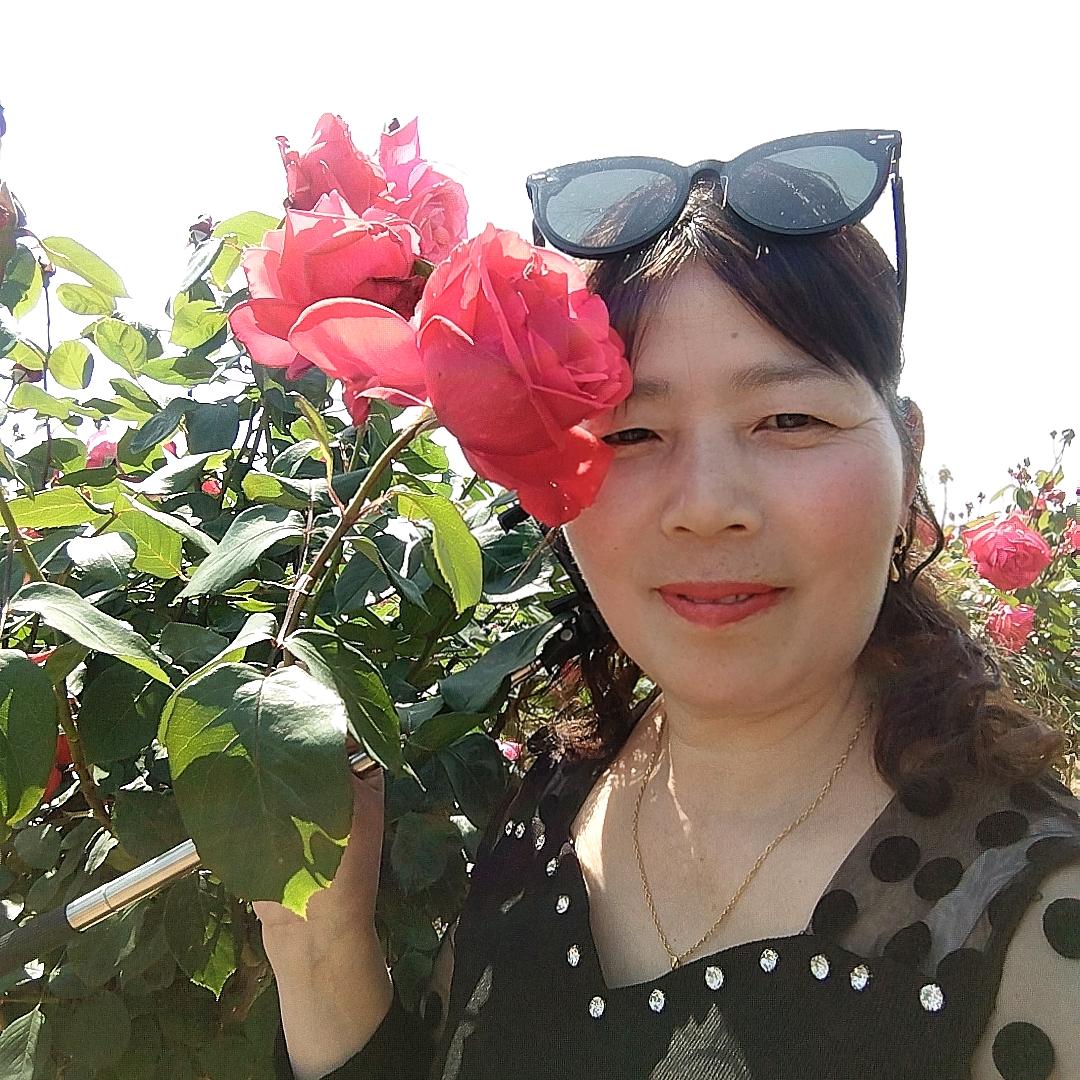 心❤️已归零